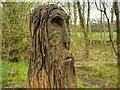 SD5830 : Carved Man at Brockholes Nature Reserve by David Dixon