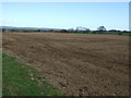 NZ1794 : Farmland near Paxton Dean by JThomas