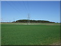 Crop field and power lines