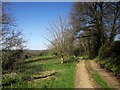 Track, Higher Larrick