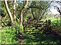 Llwybr Ceffyl Felin Bedr Bridleway