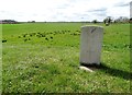 War grave at Saxby