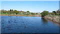 Reservoir, Downham Hall Farm