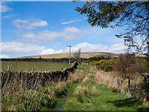 NS3385 : Rough lane north from minor road by Trevor Littlewood