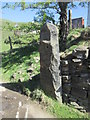 Fine Stone Gatepost