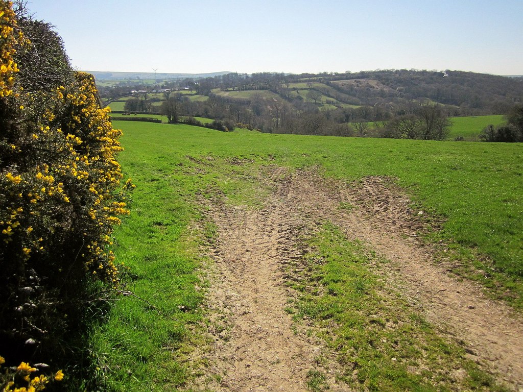 Footpath to Hicks Mill © Derek Harper :: Geograph Britain and Ireland