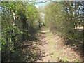 Colney Heath: Rerouted bridleway alongside Hatfield Quarry (2)