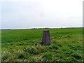 O.S. Trig pillar