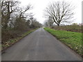 TM0159 : Forest Road, Harleston by Geographer