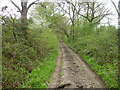 Public byway south from Hullbridge