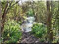 Flooded path