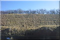 Railway cutting near Thurmaston