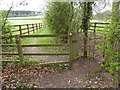 Footpath leaves Horse Croft Copse going northwards