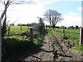 A muddy lane, Carrigans