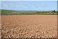 Arable field above the Torridge valley