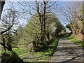 Lane to Tregulland