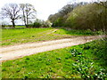 Looking east along the edge of Nutbane Copse