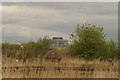 View of Charing Cross Hospital from the London Wetlands Centre #3