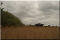 View of one of the hides in the London Wetlands Centre through the reeds