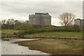 View of Charing Cross Hospital from the London Wetlands Centre #6