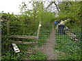 Uninviting footpath from Nutbane