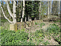 A wall in a woodland