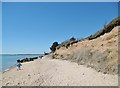 SZ4498 : Lepe, eroding cliff by Mike Faherty