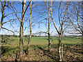 Flat Farmland, Frilford Heath