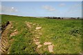 Field near Webbery Barton