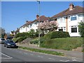 Houses in Ship Lane