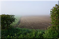 Farmland by Mildenhall Road