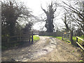TM2172 : Entrance to Horham Hall by Geographer