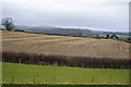 Farmland, Upper Munlyn