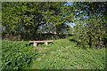 Bench near the A656