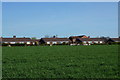 Bungalows  on Churchville Terrace, Micklefield