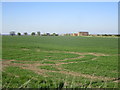 View towards Dovecote Hall Farm