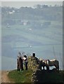 Tending horses by Primrose Lane