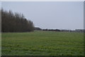 Farmland near Elliotts Farm