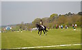 SJ5667 : Kelsall Hill Horse Trials: dressage arena by Jonathan Hutchins