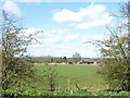 Paddock at the Piggery