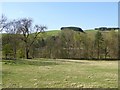 Field below Highchesters