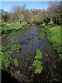 River Lynher at Bathpool