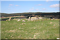 NO7191 : Eslie the Greater Recumbent Stone Circle (1) by Anne Burgess