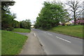 Suburban trees on the road to Broad Campden