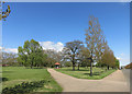 Paths in Finsbury Park