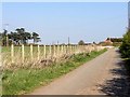 Track near the A494