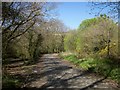 Old road and older road near Upton Cross