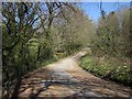 Old road, Upton Cross