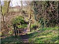 Bridge in Sweetpool Nature Reserve