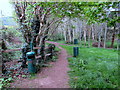 Woodland path, Wyesham